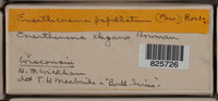 Image Associated With the Occurence